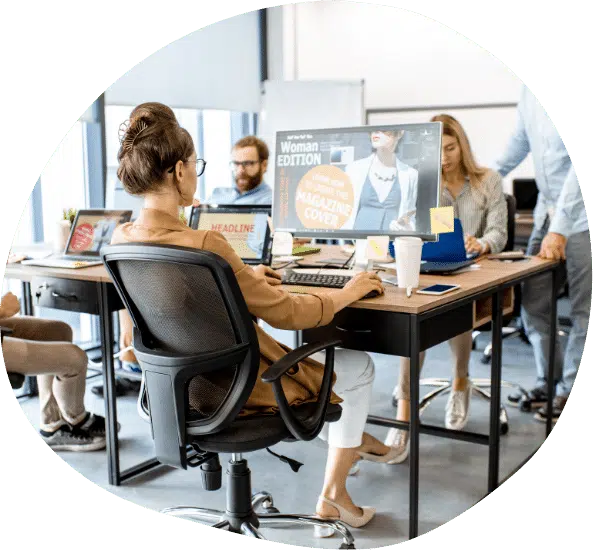 Web Design Team Auckland WordPresss